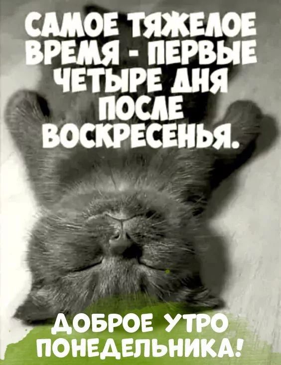 САМОЕ ТЯЖЕЛОЕ ВРЕМЯ - ПЕРВЫЕ ЧЕТЫРЕ ДНЯ ПОСЛЕ ВОСКРЕСЕНЬЯ.
ДОБРОЕ УТРО ПОНЕДЕЛЬНИКА!
