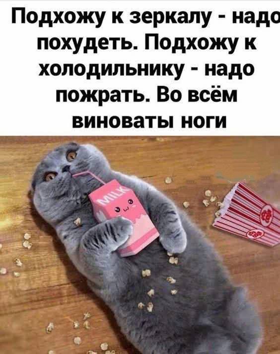 Подхожу к зеркалу - надо похудеть. Подхожу к холодильнику - надо поужинать. Во всём виноваты ноги