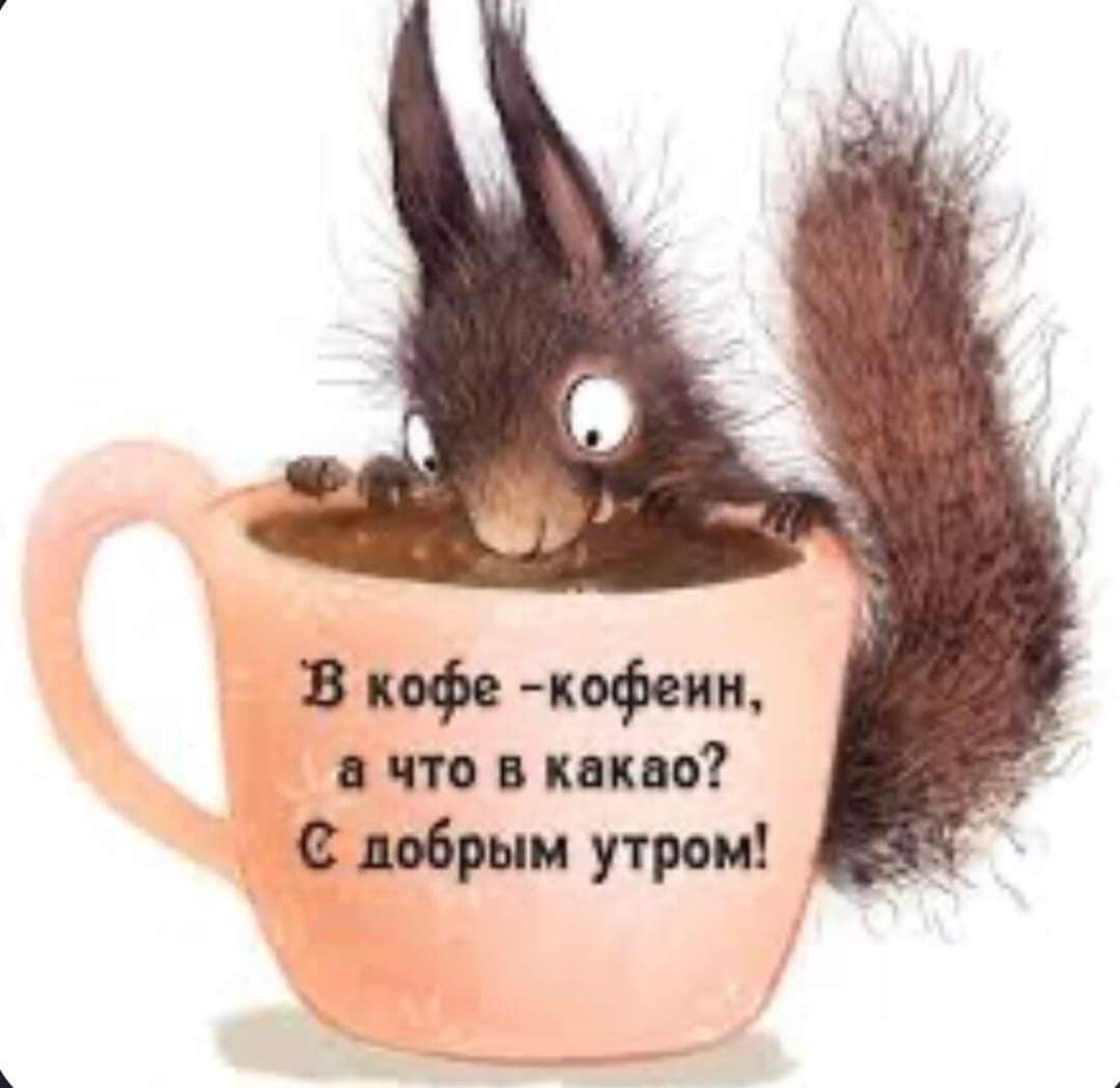 В кофе -кофеин, а что в какао? С добрым утром!
