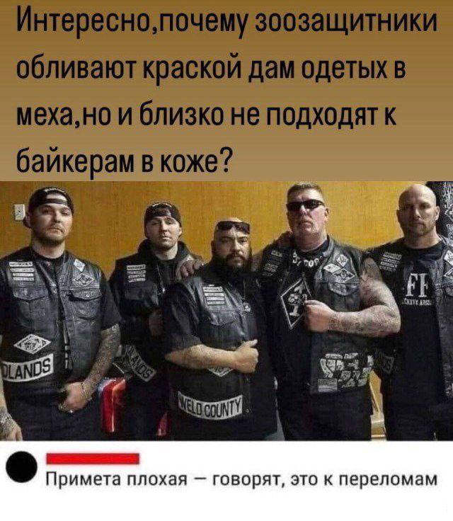 Интересно, почему зоозащитники обливают красной дам в меха, но и близко не подходят к байкерам в коже?

Примета плохая — говорят, это к переломам