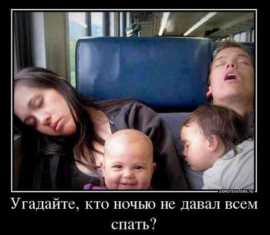 Угадайте, кто ночью не давал всем спать?