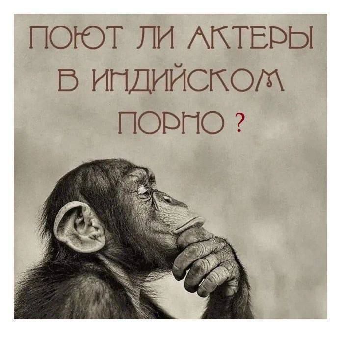 ПОЮТ ЛИ АКТЁРЫ В ИНДИЙСКОМ ПОРНО ?