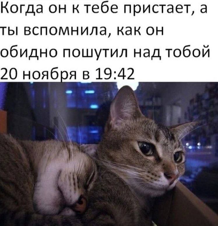 Когда он к тебе пристаёт, а ты вспомнила, как он обидно пошутил над тобой 20 ноября в 19:42