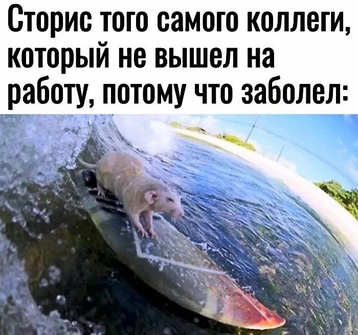 Сториc того самого коллеги, который не вышел на работу, потому что заболел: