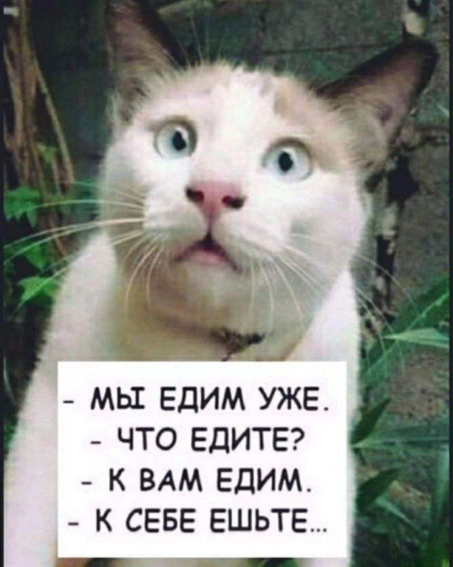 - МЫ ЕДИМ УЖЕ.
- ЧТО ЕДИТЕ?
- К ВАМ ЕДИМ.
- К СЕБЕ ЕШЬТЕ...