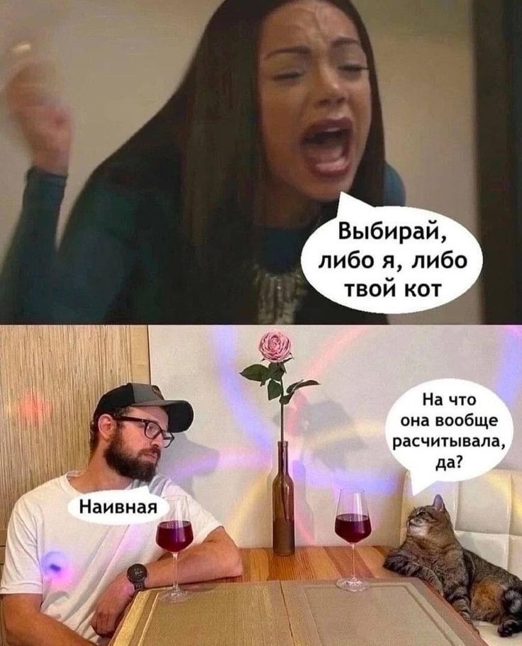 Выбирай, либо я, либо твой кот
На что она вообще рассчитывала, да?
Наивная