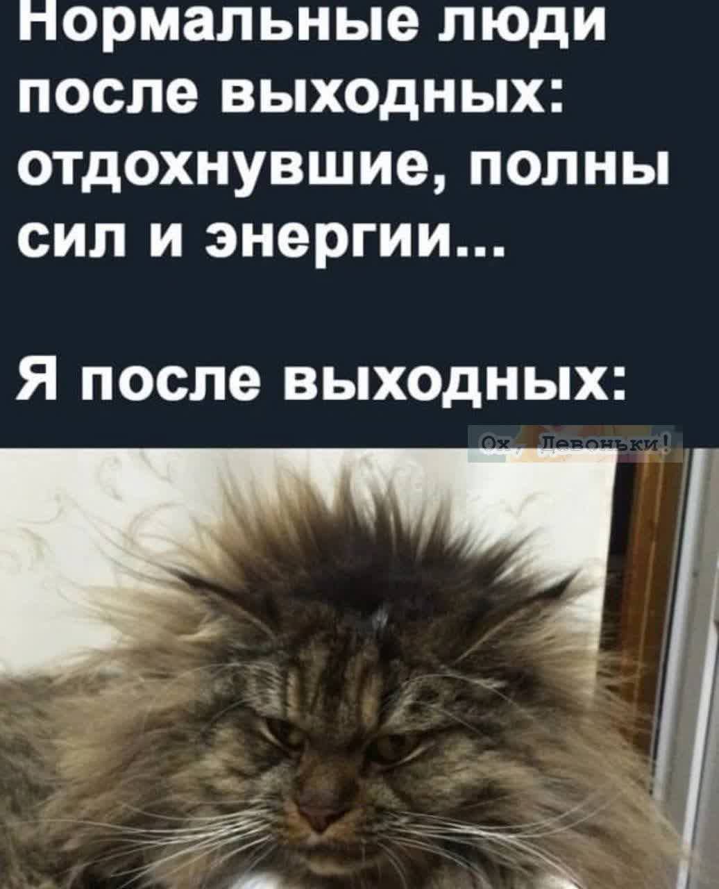 Нормальные люди после выходных: отдохнувшие, полны сил и энергии...
Я после выходных: