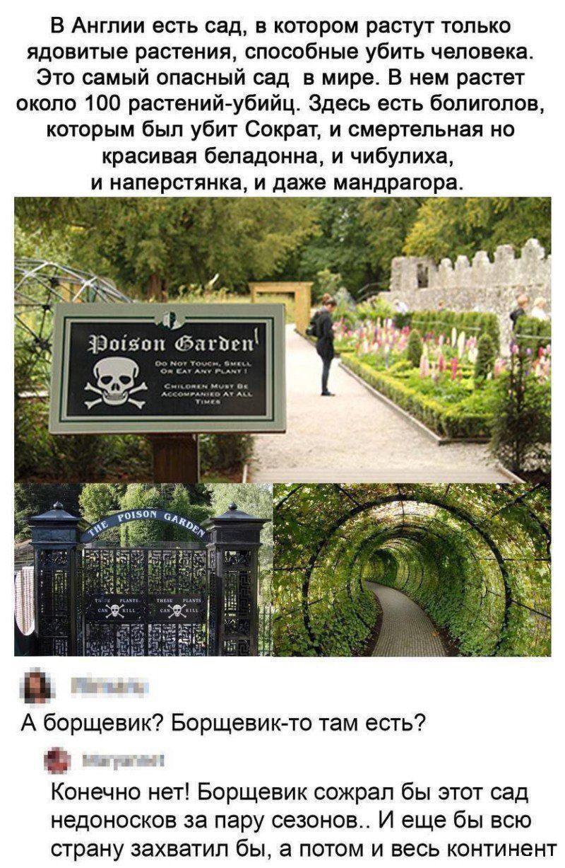 В Англии есть сад, в котором растут только ядовитые растения, способные убить человека. Это самый опасный сад в мире. В нем растет около 100 растений-убийц. Здесь есть болотоголов, которым был убит Сократ, и смертельная но красивая белладонна, и чибулиха, и наперстянка, и даже мандрагора.

А борщевик? Борщевик-то там есть?

Конечно нет! Борщевик сожрал бы этот сад недоносоков за пару сезонов.. И еще бы всю страну захватил бы, а потом и весь континент.