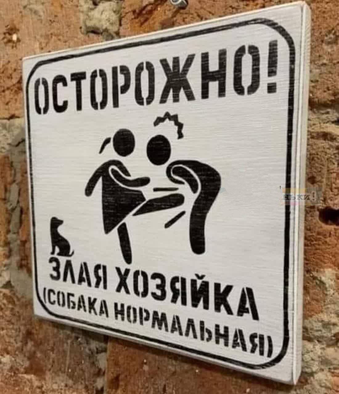 ОСТОРОЖНО! ЗЛАЯ ХОЗЯЙКА (СОБАКА НОРМАЛЬНАЯ)
