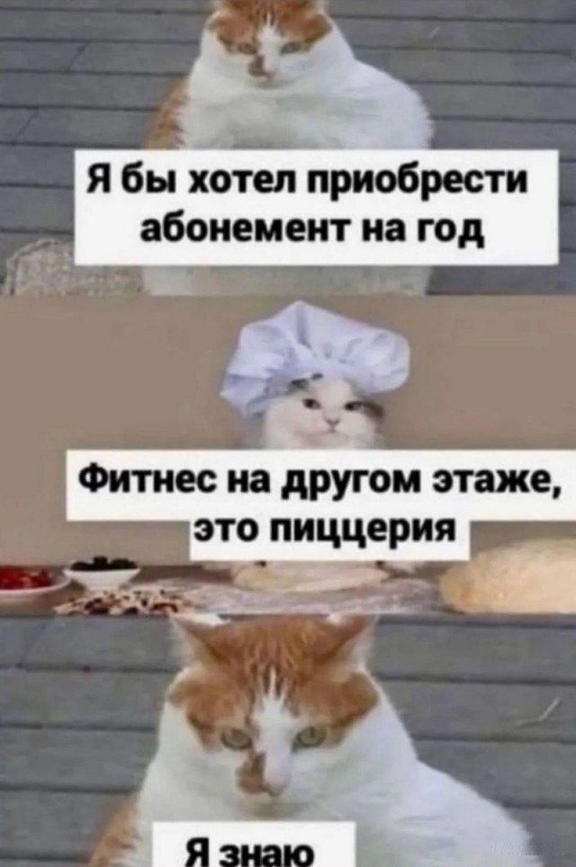 Я бы хотел приобрести абонемент на год
Фитнес на другом этаже, это пиццерия
Я знаю