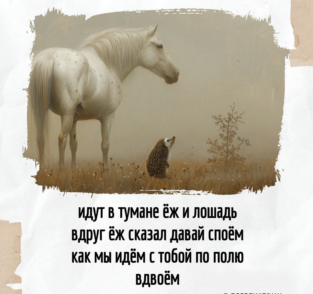 идут в тумане ёж и лошадь вдруг ёж сказал давай споём как мы идём с тобой по полю вдвоём