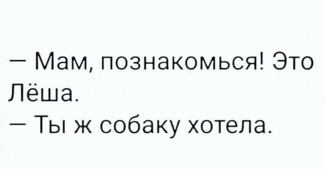 — Мам, познакомься! Это Лёша.
— Ты ж собаку хотела.