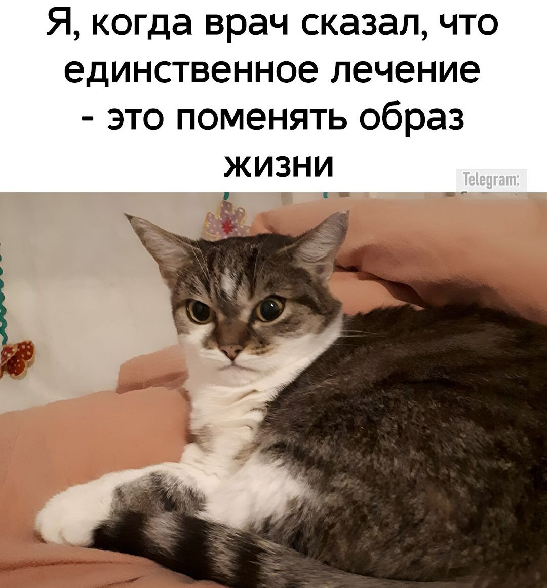 Я, когда врач сказал, что единственное лечение - это поменять образ жизни