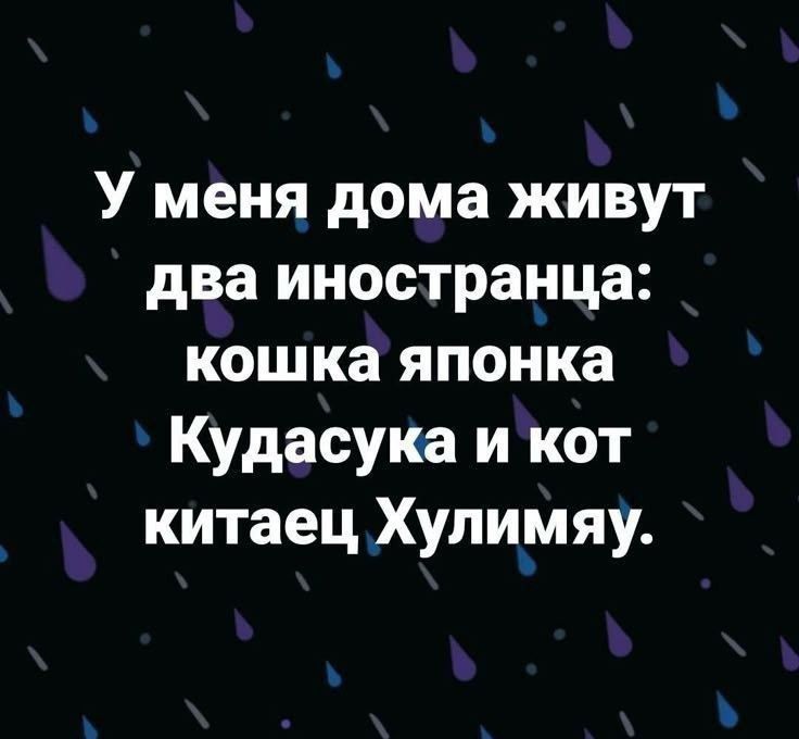 У меня дома живут два иностранца: кошка японка Кудасука и кот китаец Хулимяу.