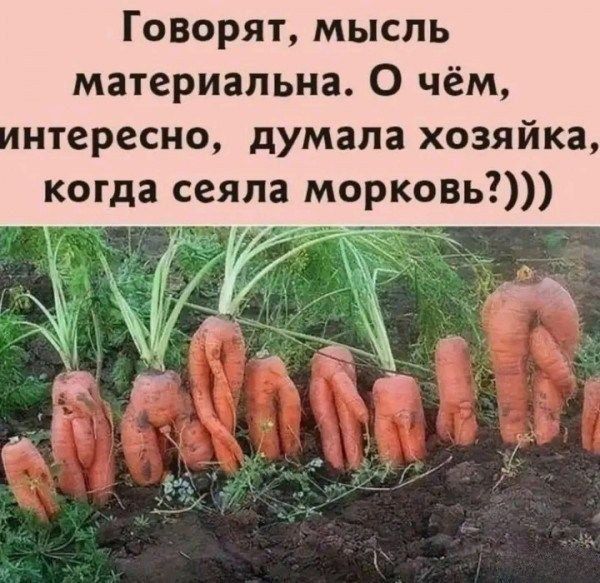 Говорят, мысль материальна. О чём, интересно, думала хозяйка, когда сеяла морковь?)))