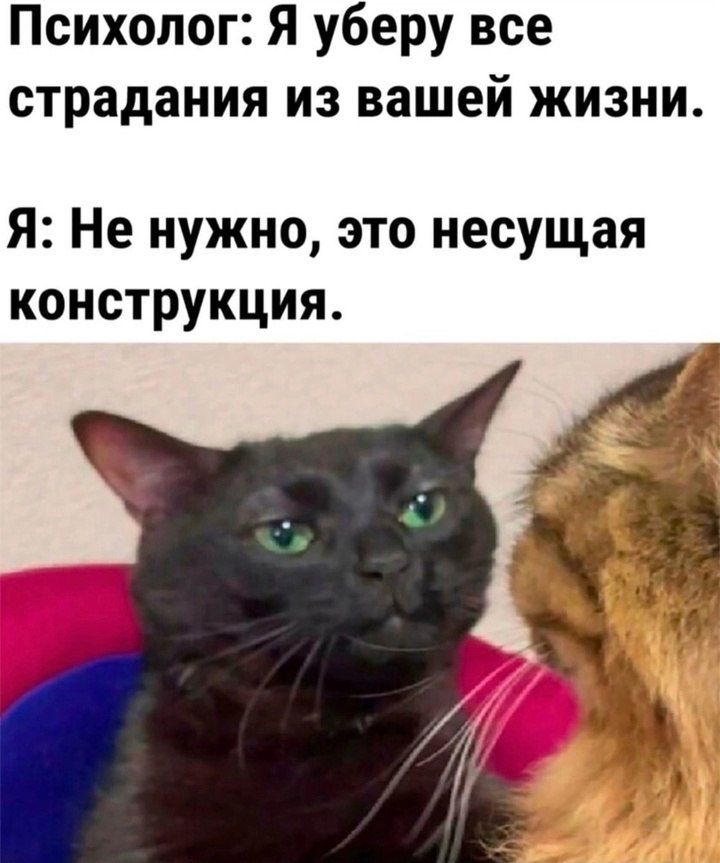 Психолог: Я уберу все страдания из вашей жизни.
Я: Не нужно, это несущая конструкция.