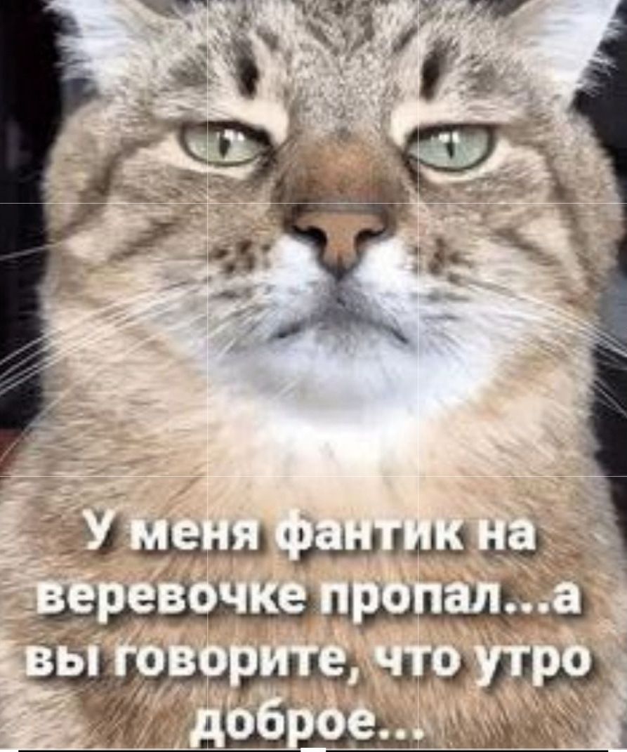 У меня фантрик на веревочке пропал...а вы говорите, что утро доброе...