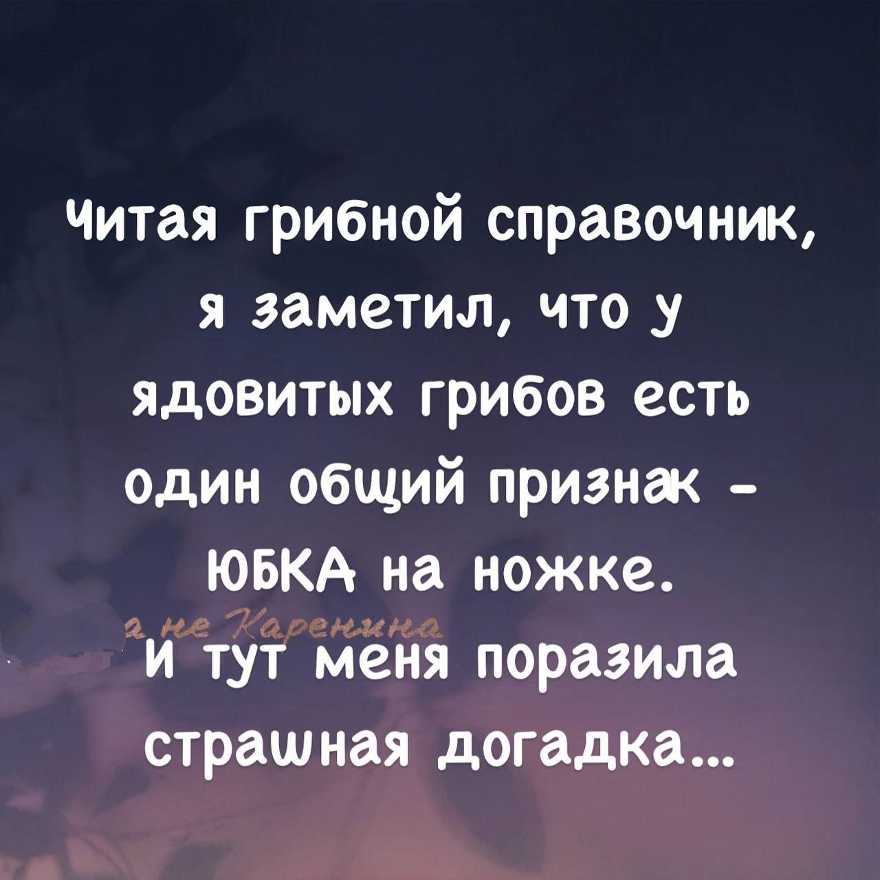 Читая грибной справочник, я заметил, что у ядовитых грибов есть один общий признак – ЮБКА на ножке. И тут меня поразила страшная догадка...