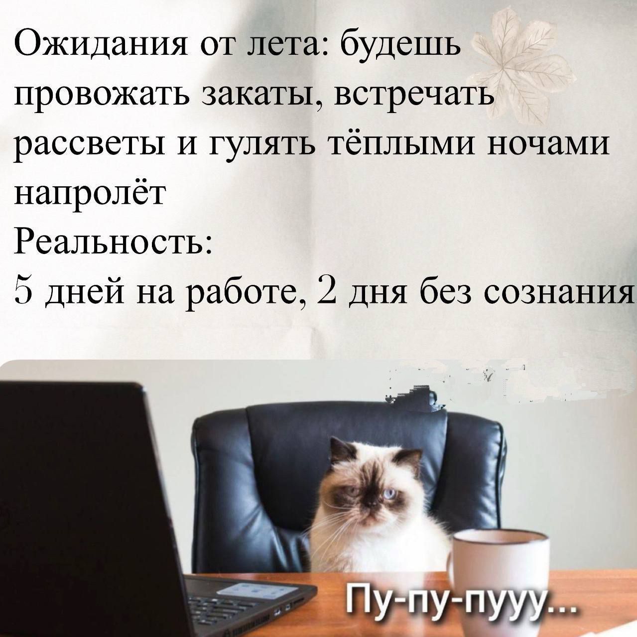 Ожидания от лета: будешь проводить закаты, встречать рассветы и гулять тёплыми ночами напролёт
Реальность:
5 дней на работе, 2 дня без сознания
Пу-пу-пууу...