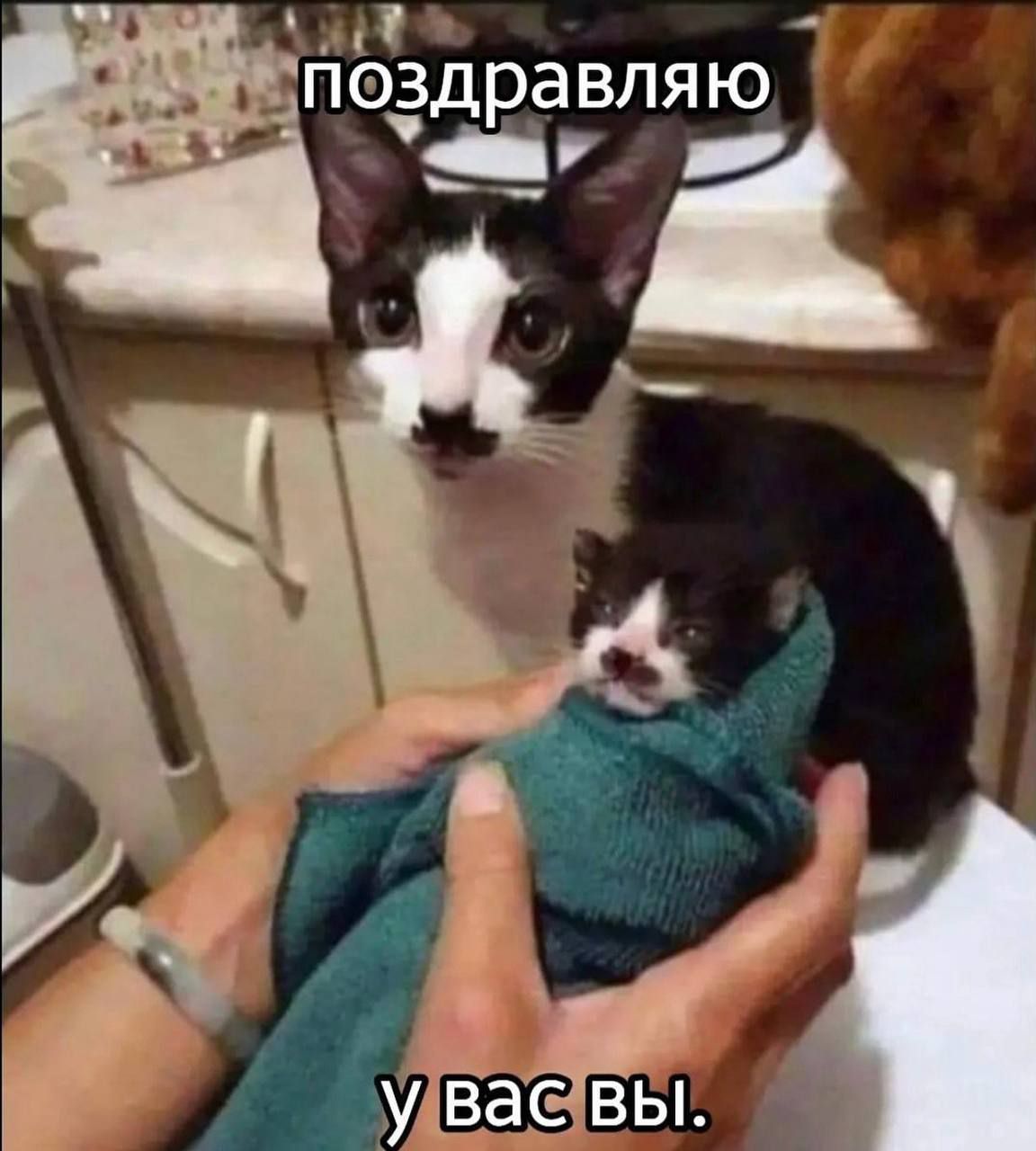 поздравляю
у вас вы.