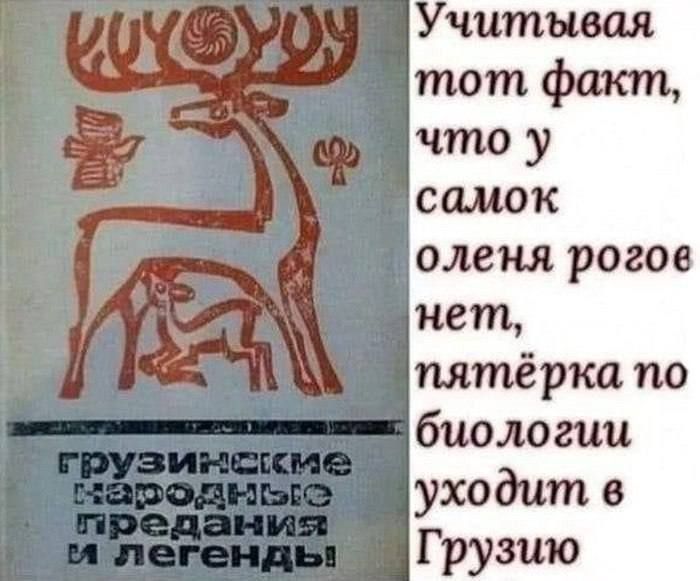 Учитывая тот факт, что у самок оленя рогов нет, пятёрка по биологии уходит в Грузию