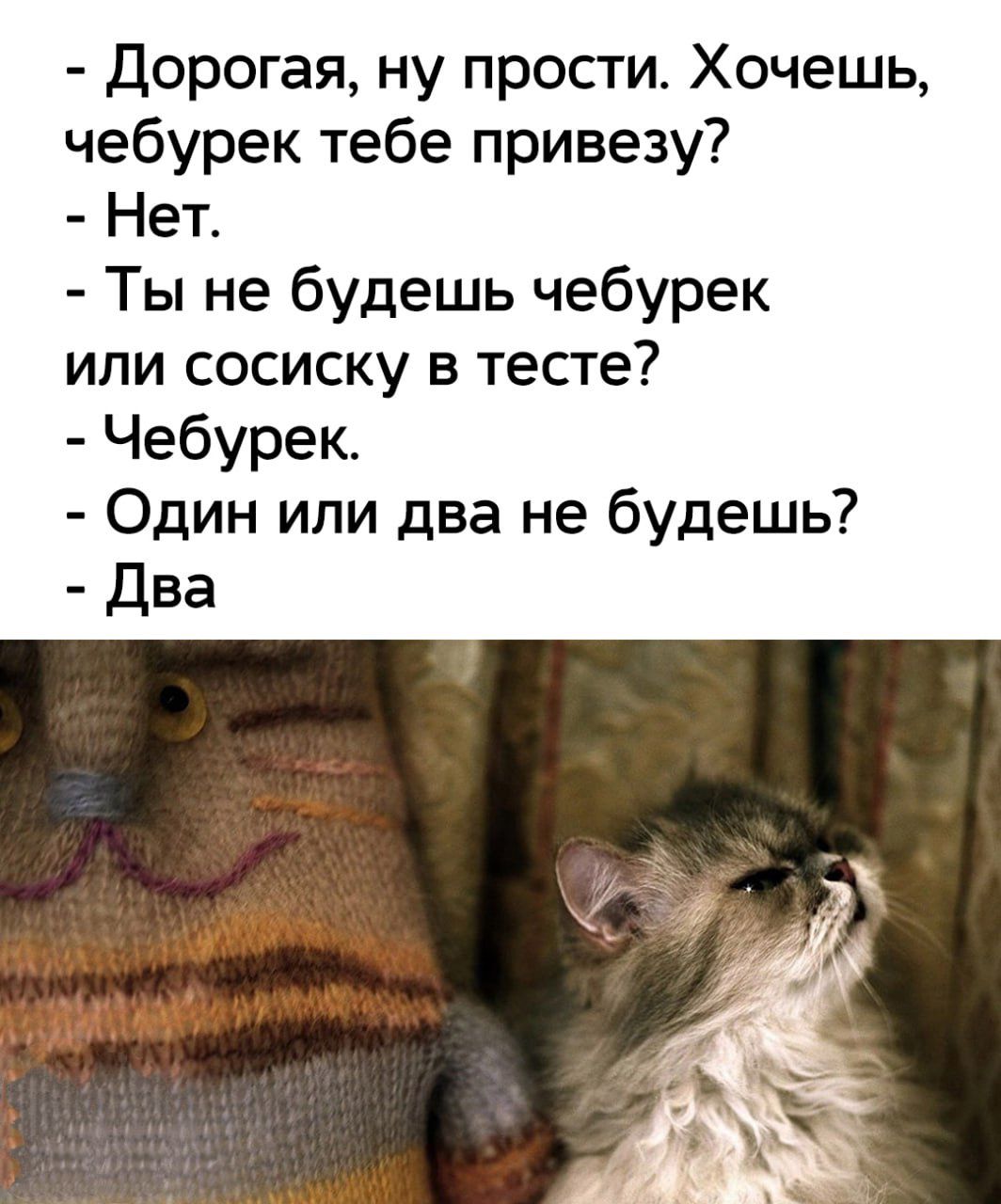 - Дорогая, ну прости. Хочешь, чебурек тебе привезу?
- Нет.
- Ты не будешь чебурек или сосиску в тесте?
- Чебурек.
- Один или два не будешь?
- Два.