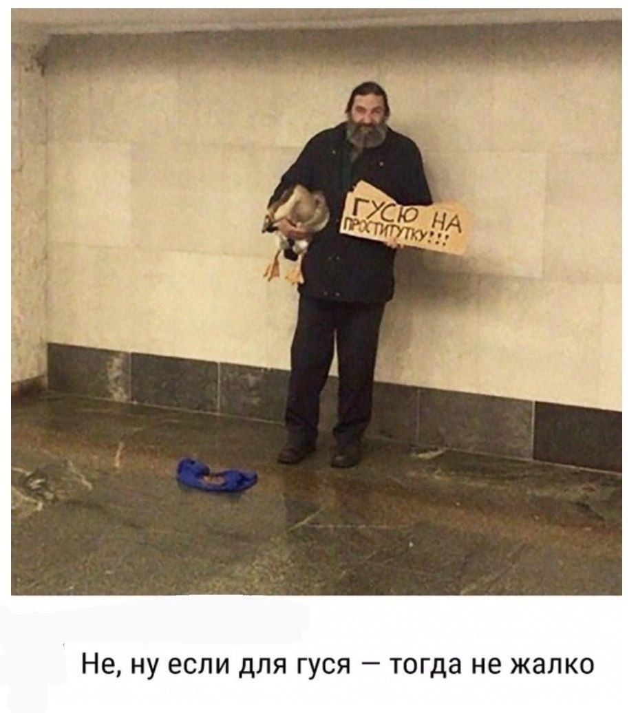 Не, ну если для гуся — тогда не жалко