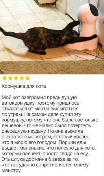 Кормушка для кота

Мой кот разгромил предыдущую автокормушку, поэтому пришлось отказаться от мечты высыпаться по утрам. На самом деле купил эту кормушку, потому что она была настолько дешевой, что не жалко было потерпеть очередную неудачу. Но она выжила в схватке с монструм, который уверен, что я морю его голодом. Порции еды выдает маленькие, что полезно для кота, который полнеть, просто глядя на еду. Эта штука достойна 6 звезд за то, что так удачно сопротивляется моему монстру.