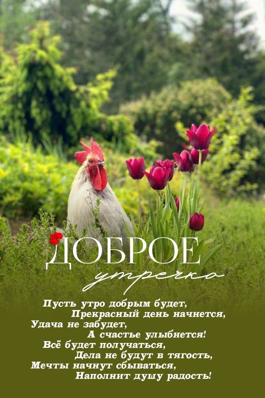 Доброе утречко
Пусть утро добрым будет, 
Прекрасный день начнется, 
Удача не забудет, 
А счастье улыбнется! 
Всё будет получаться, 
Дела не будут в тягость, 
Мечты начнут сбываться, 
Наполнит душу радость!