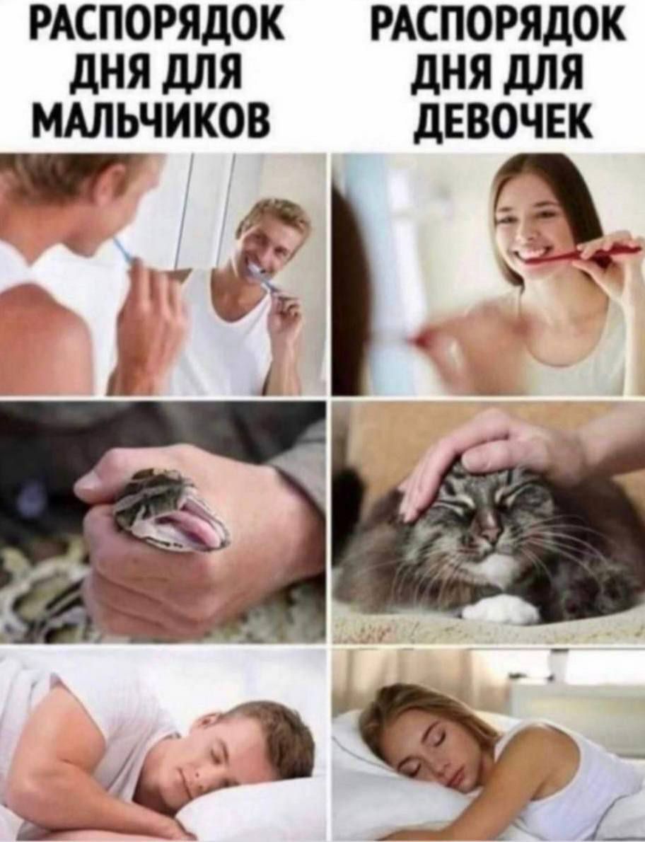 РАСПОРЯДОК ДНЯ ДЛЯ МАЛЬЧИКОВ
РАСПОРЯДОК ДНЯ ДЛЯ ДЕВОЧЕК