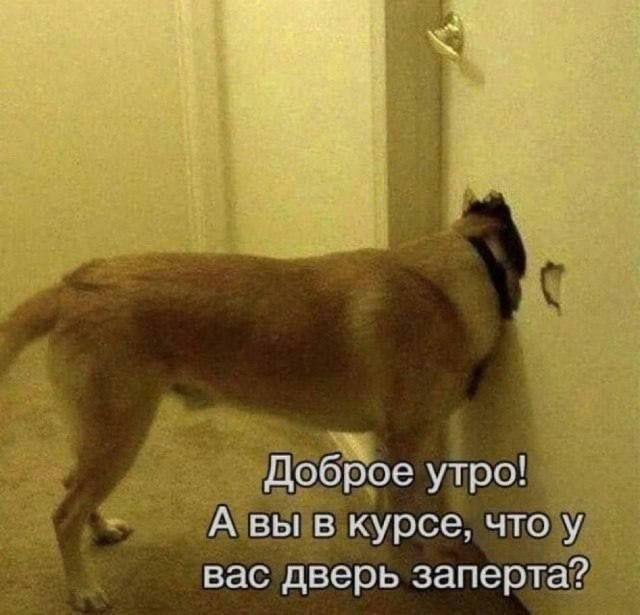 Доброе утро! А вы в курсе, что у вас дверь заперта?