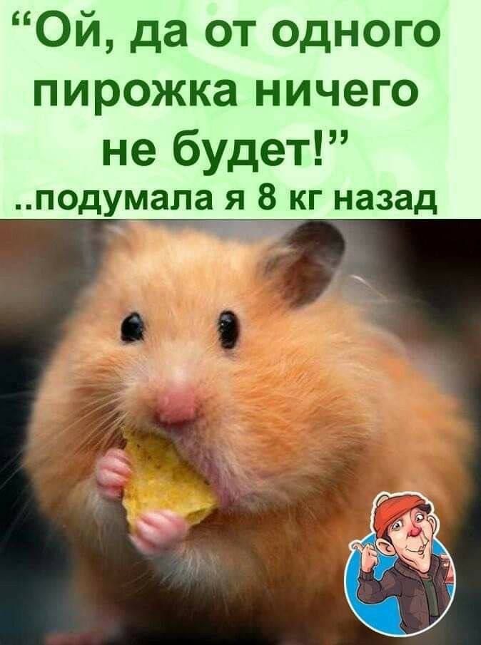 “Ой, да от одного пирожка ничего не будет!”..подумала я 8 кг назад