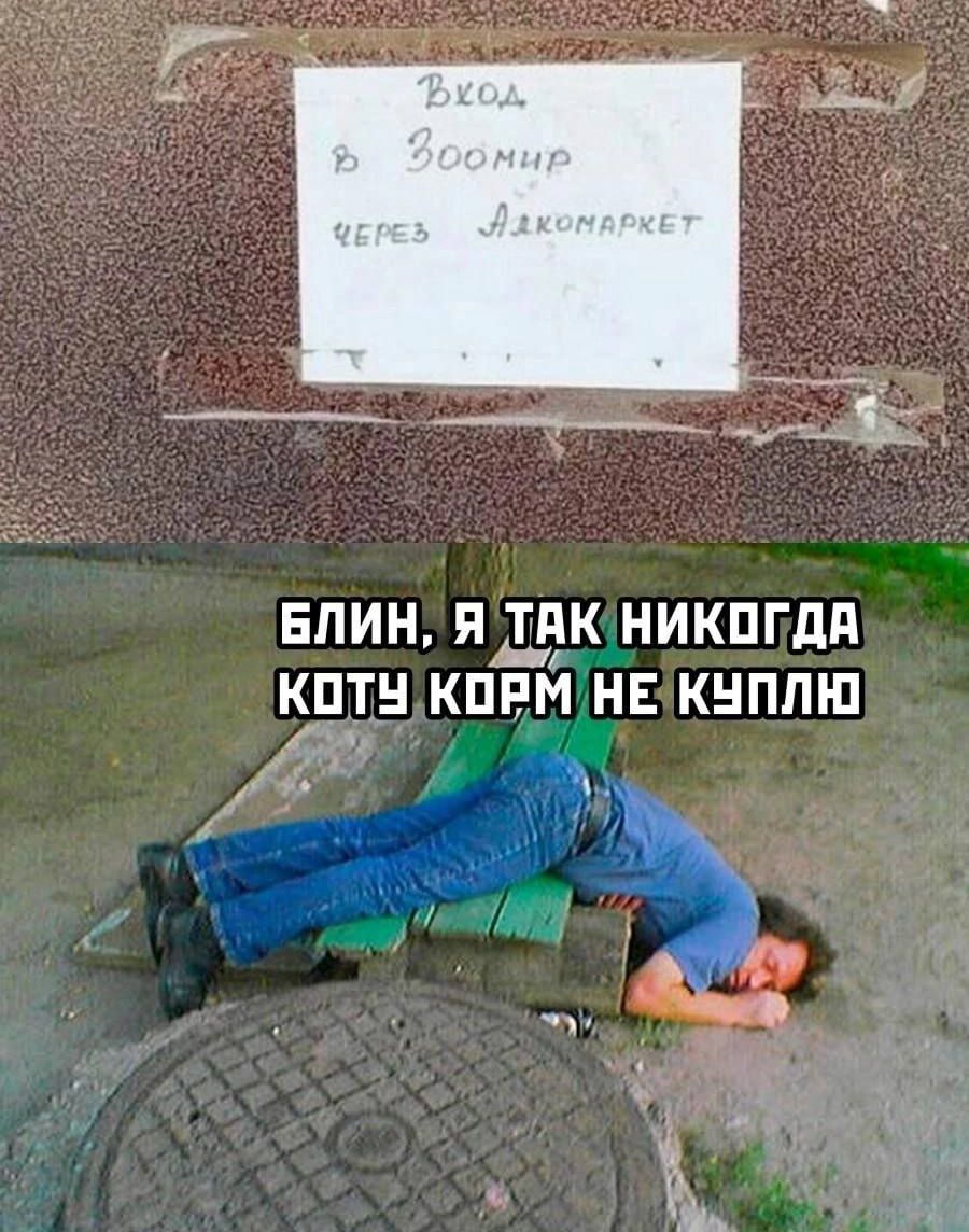 Вход в Зоомир через АДКомаркет

Блин, я так никогда коту корм не куплю