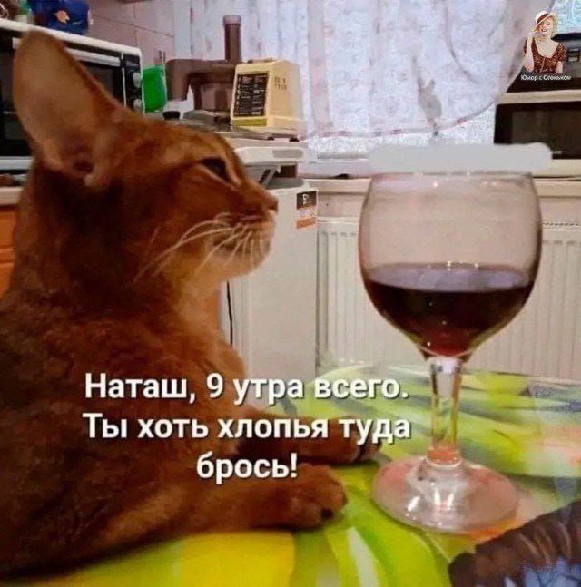 Наташ, 9 утра всего. Ты хоть хлопья туда брось!