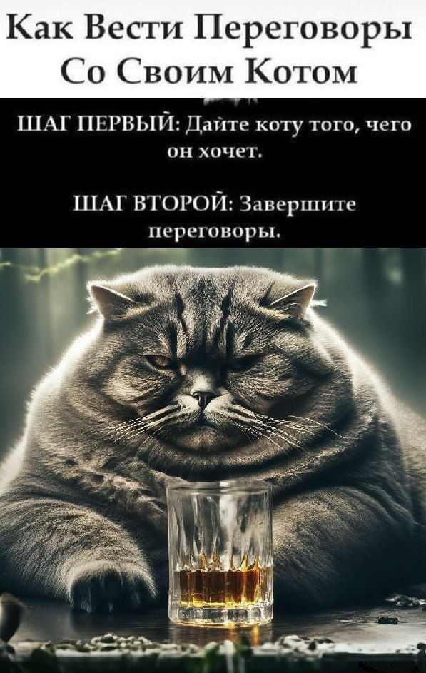 Как Вести Переговоры Со Своим Котом

ШАГ ПЕРВЫЙ: Дайте коту того, чего он хочет.

ШАГ ВТОРОЙ: Завершите переговоры.