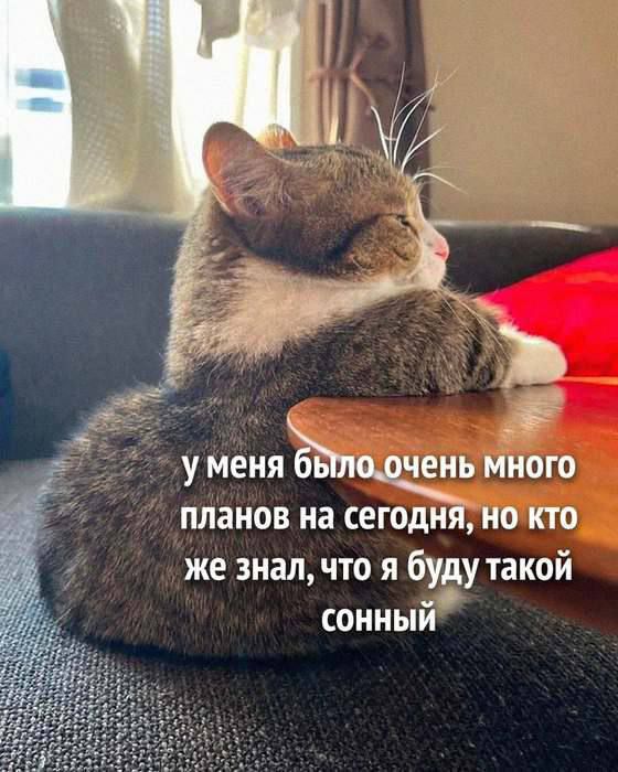 у меня было очень много планов на сегодня, но кто же знал, что я буду такой сонный