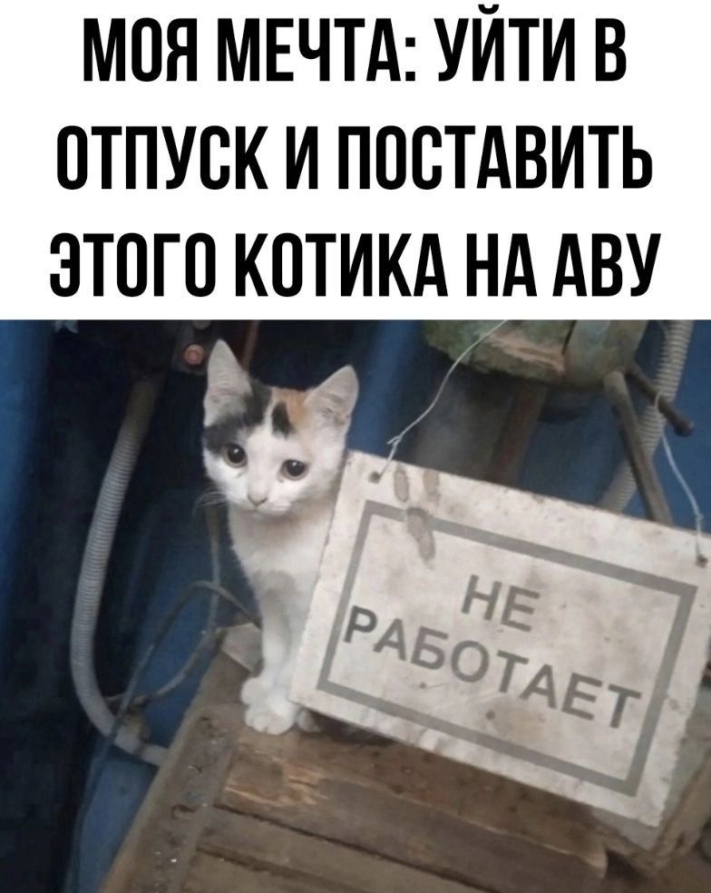 МОЯ МЕЧТА: УЙТИ В ОТПУСК И ПОСТАВИТЬ ЭТОГО КОТИКА НА АВУ
НЕ РАБОТАЕТ