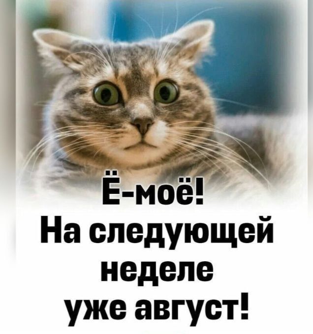 Ё-мое! На следующей неделе уже август!