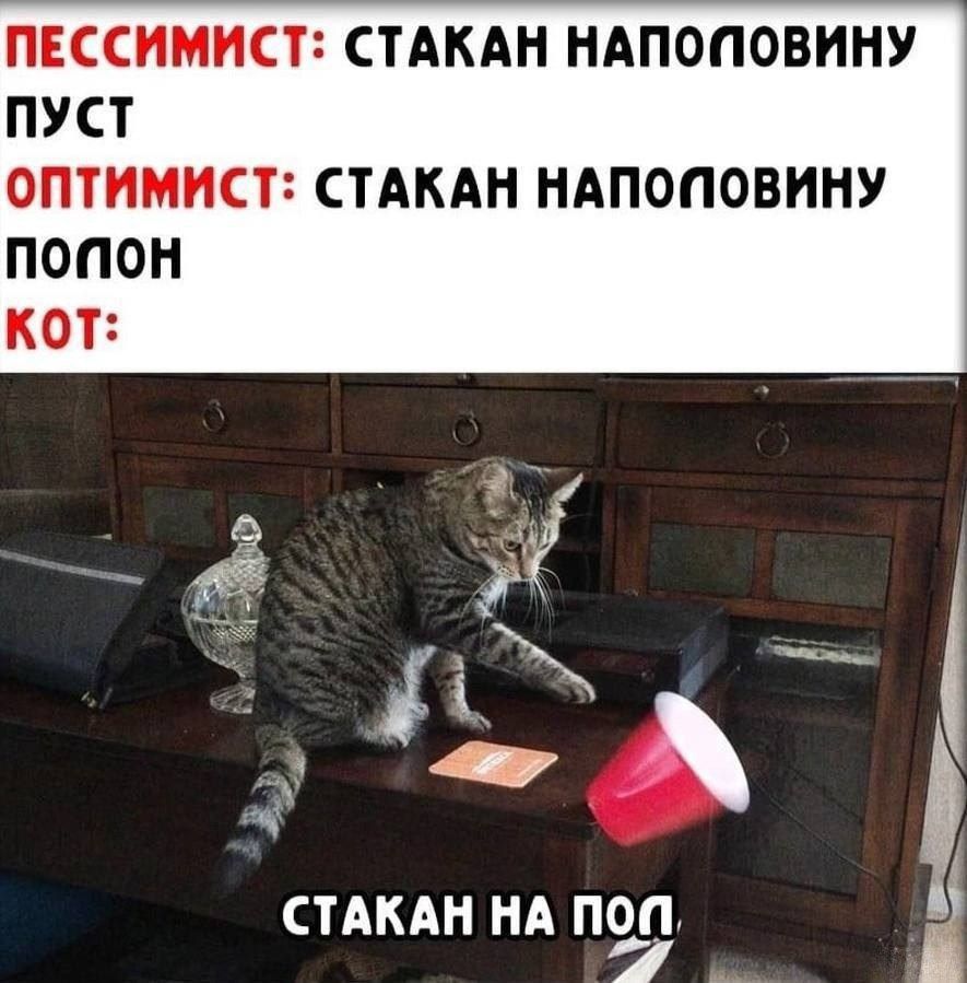 ПЕССИМИСТ: СТАКАН НАПОЛОВИНУ ПУСТ
ОПТИМИСТ: СТАКАН НАПОЛОВИНУ ПОЛОН
КОТ: СТАКАН НА ПОЛ.