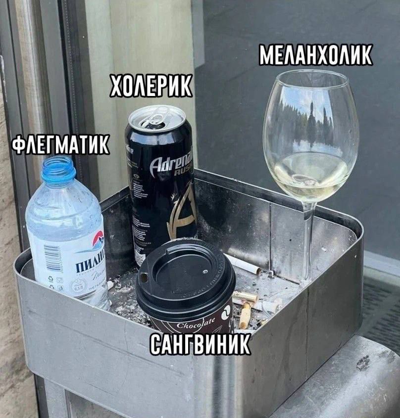 ХОЛЕРИК
ФЛЕГМАТИК
САНГВИНИК
МЕЛАНХОЛИК