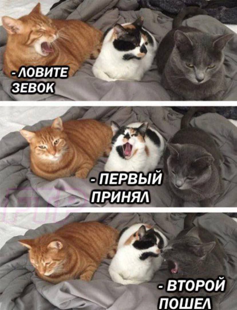 ЛОВИТЕ ЗЕВОК
ПЕРВЫЙ ПРИнял
ВТОРОЙ ПОШЕЛ