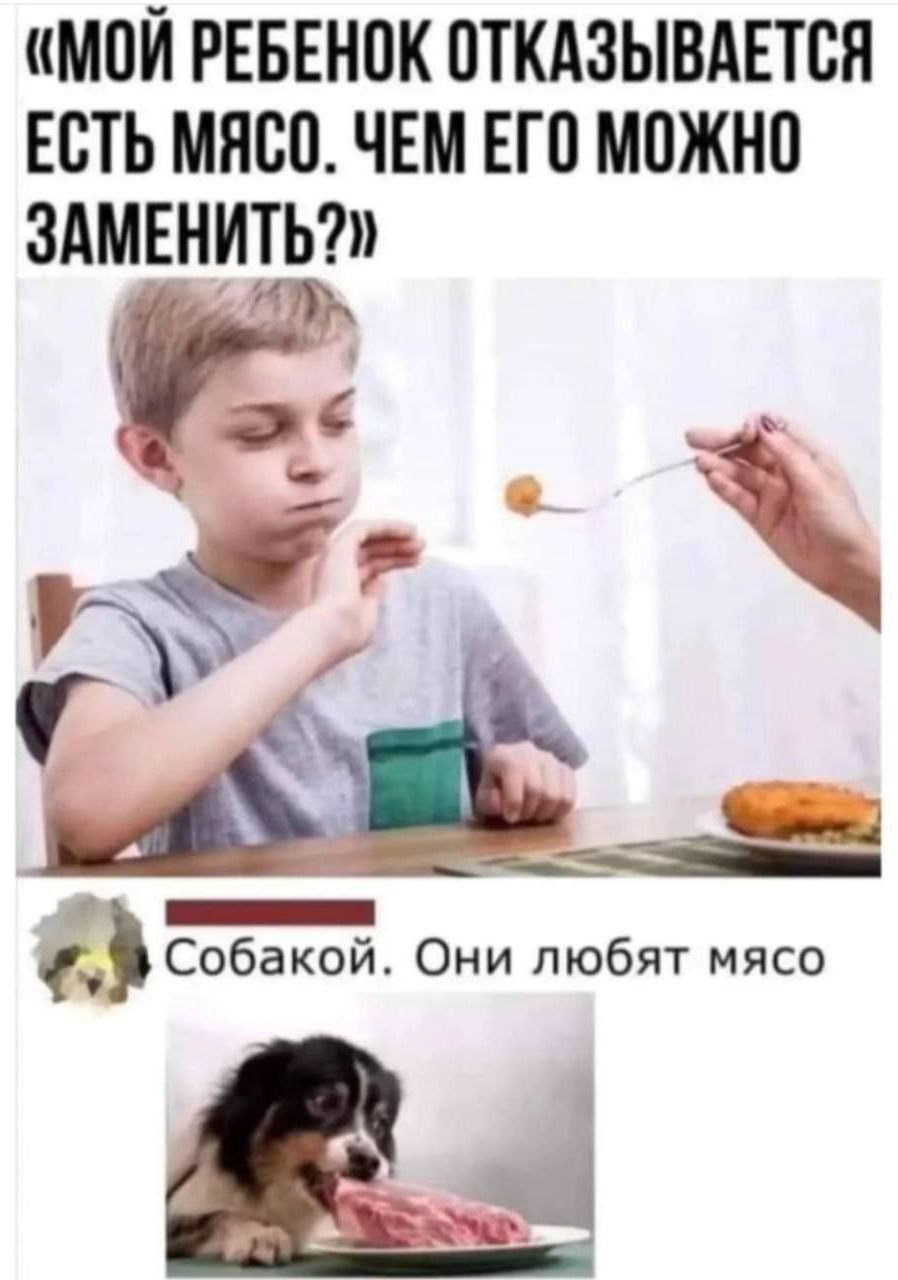 «МОЙ РЕБЕНОК ОТКАЗЫВАЕТСЯ ЕСТЬ МЯСО. ЧЕМ ЕГО МОЖНО ЗАМЕНИТЬ?»
«Собакой. Они любят мясо.»