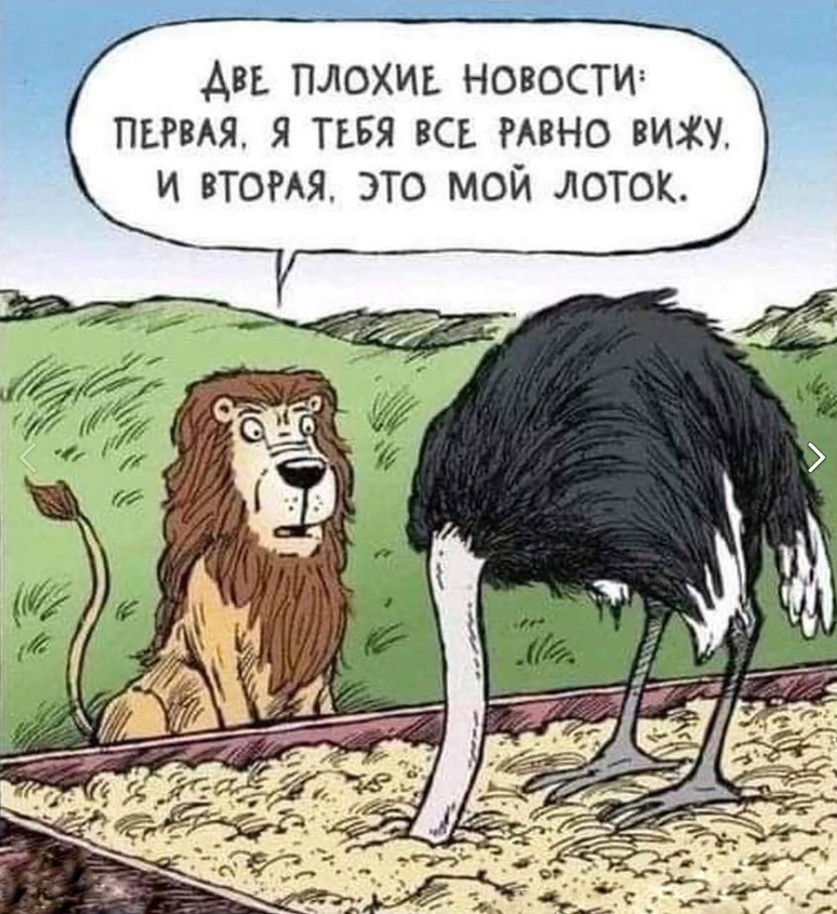 ДВЕ ПЛОХИЕ НОВОСТИ: ПЕРВАЯ, Я ТЕБЯ ВСЕ РАВНО ВИЖУ, И ВТОРАЯ. ЭТО МОЙ ЛОТОК.