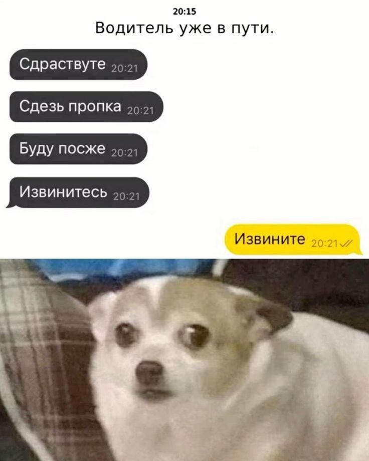Водитель уже в пути.
Сдрастуйте
Сдезь пропка
Буду посже
Извинитесь
Извините