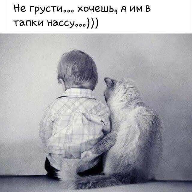 Не грусти... хочешь, я им в тапки нассу...)))