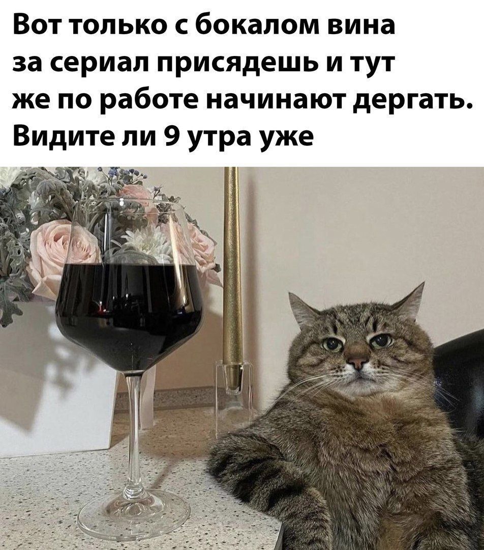 Вот только с бокалом вина за сериал присаживаешь и тут же по работе начинают дергать. Видите ли 9 утра уже
