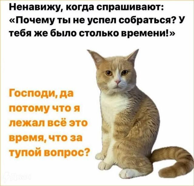 Ненавижу, когда спрашивают: «Почему ты не успел собраться? У тебя же было столько времени!» Господи, да потому что я лежал всё это время, что за тупой вопрос?