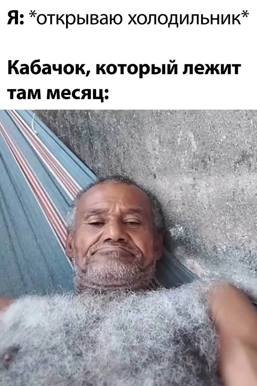 Я: *открываю холодильник* Кабачок, который лежит там месяц: