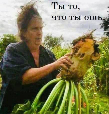 Ты то, что ты ешь