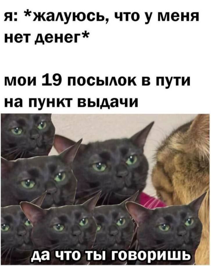 я: *жаліюся, що у мене немає грошей*
мої 19 посилок в путі на пункт видачі
да що ти говориш